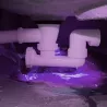 UV-FARBE Violett